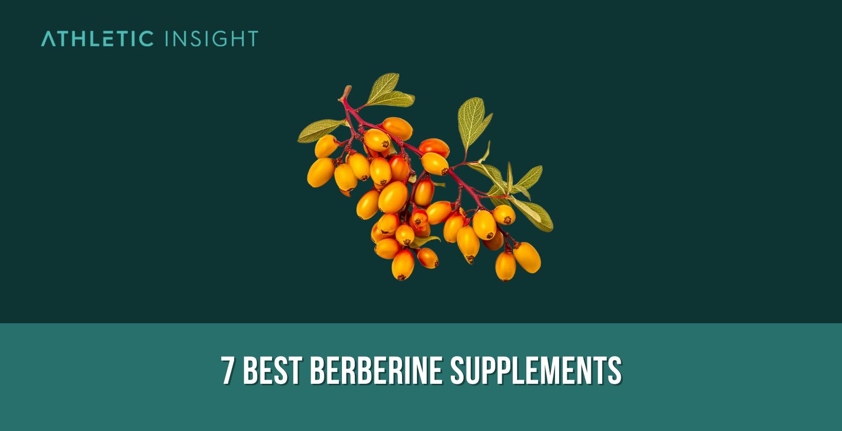 7 Best Berberine Supplements