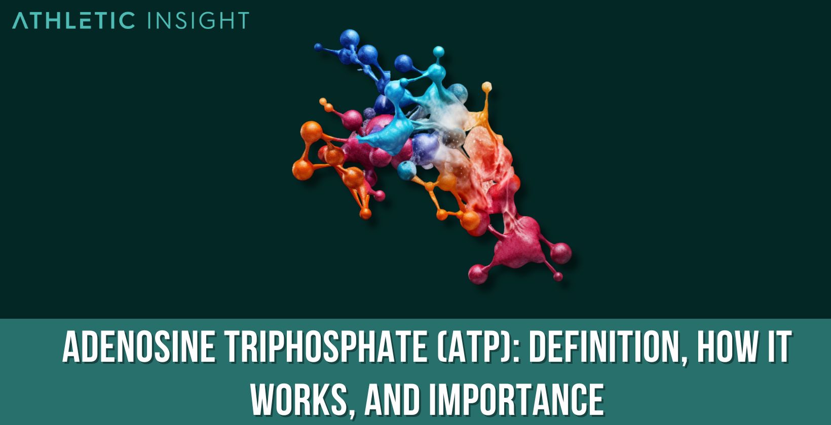 Adenosine Triphosphate (ATP): Definition, How it works, and Importance