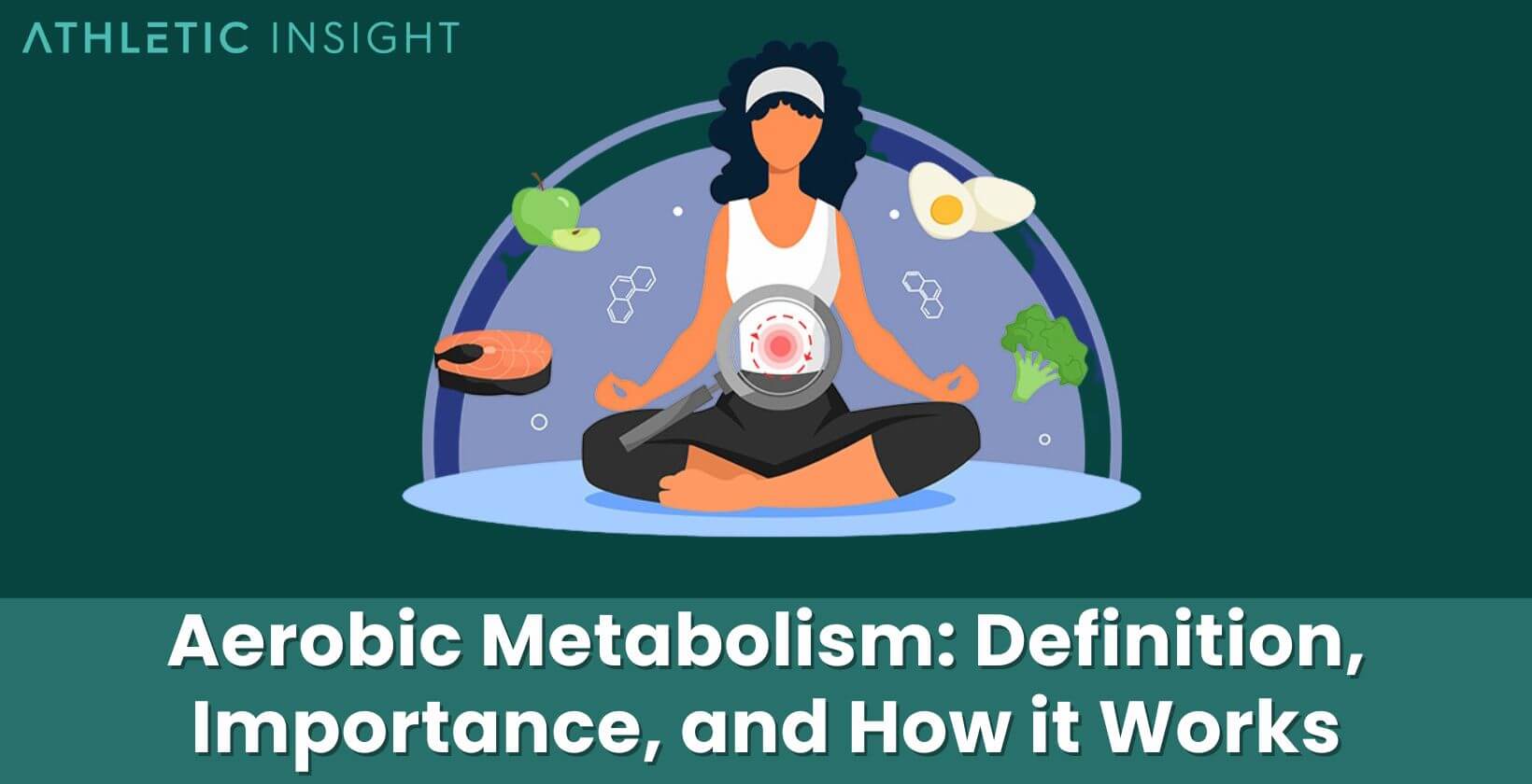 Aerobic Metabolism Definition, Importance, and How it Works
