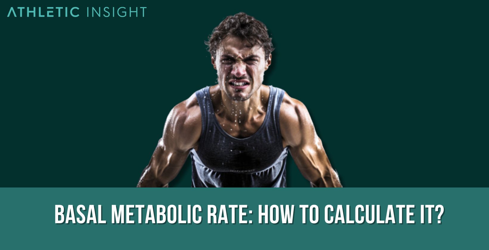 Basal Metabolic Rate How To Calculate It