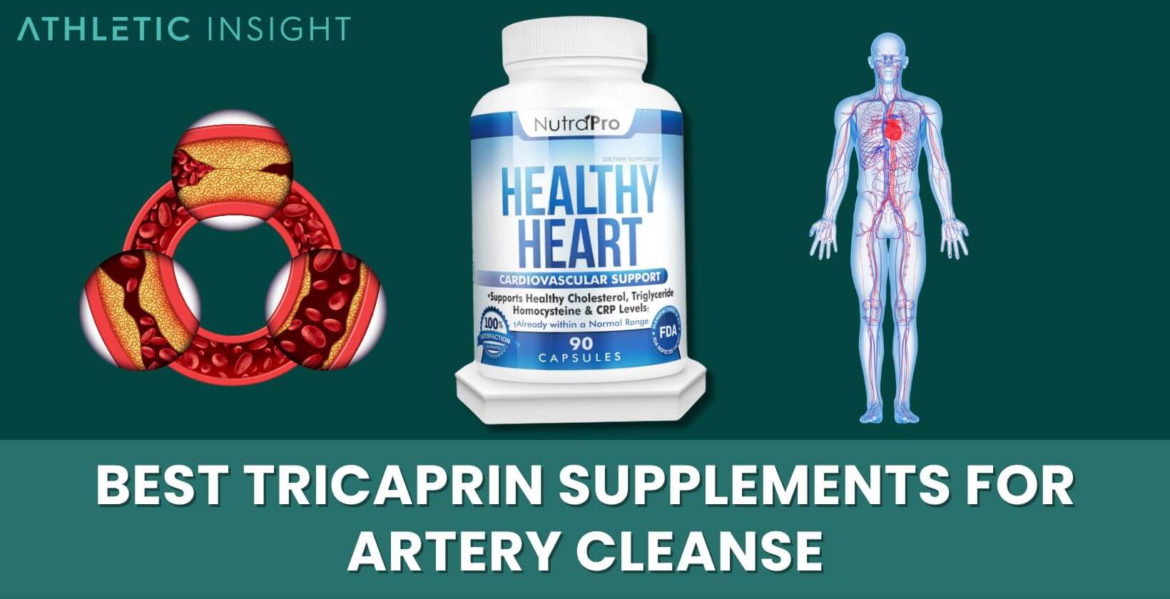 Best Tricaprin Supplements for Artery Cleanse