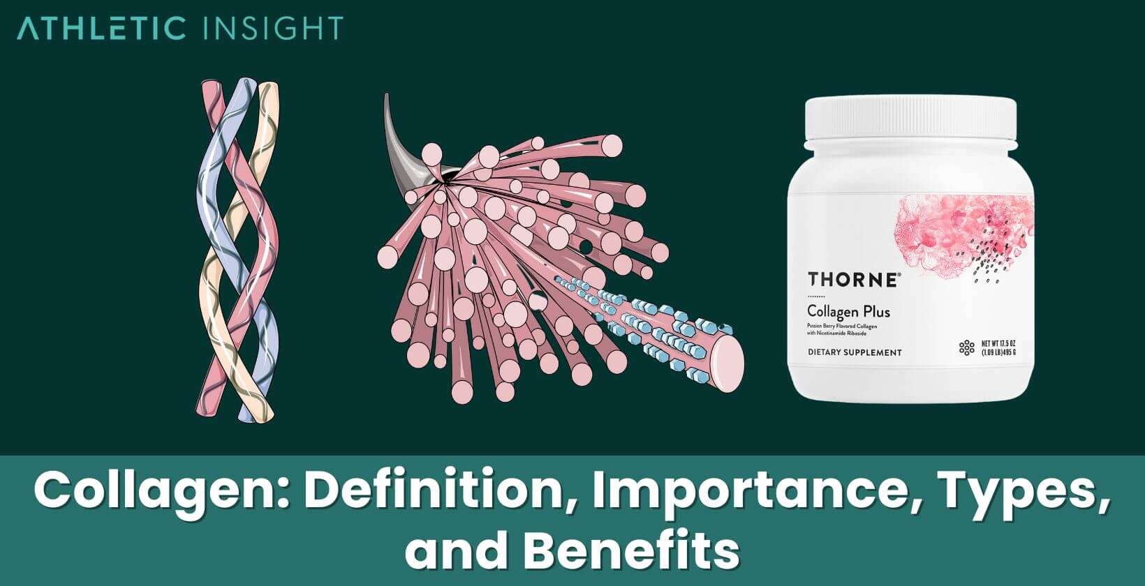 Collagen: Definition, Importance, Types, and Benefits