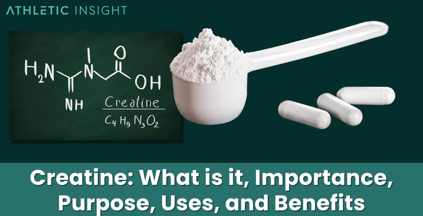 Creatine: What is it, Importance, Purpose, Uses, and Benefits