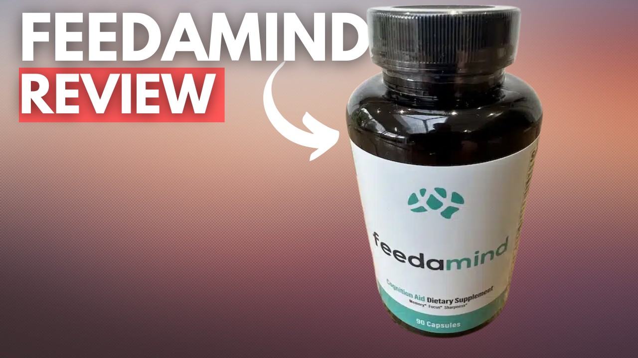 Feedamind Review