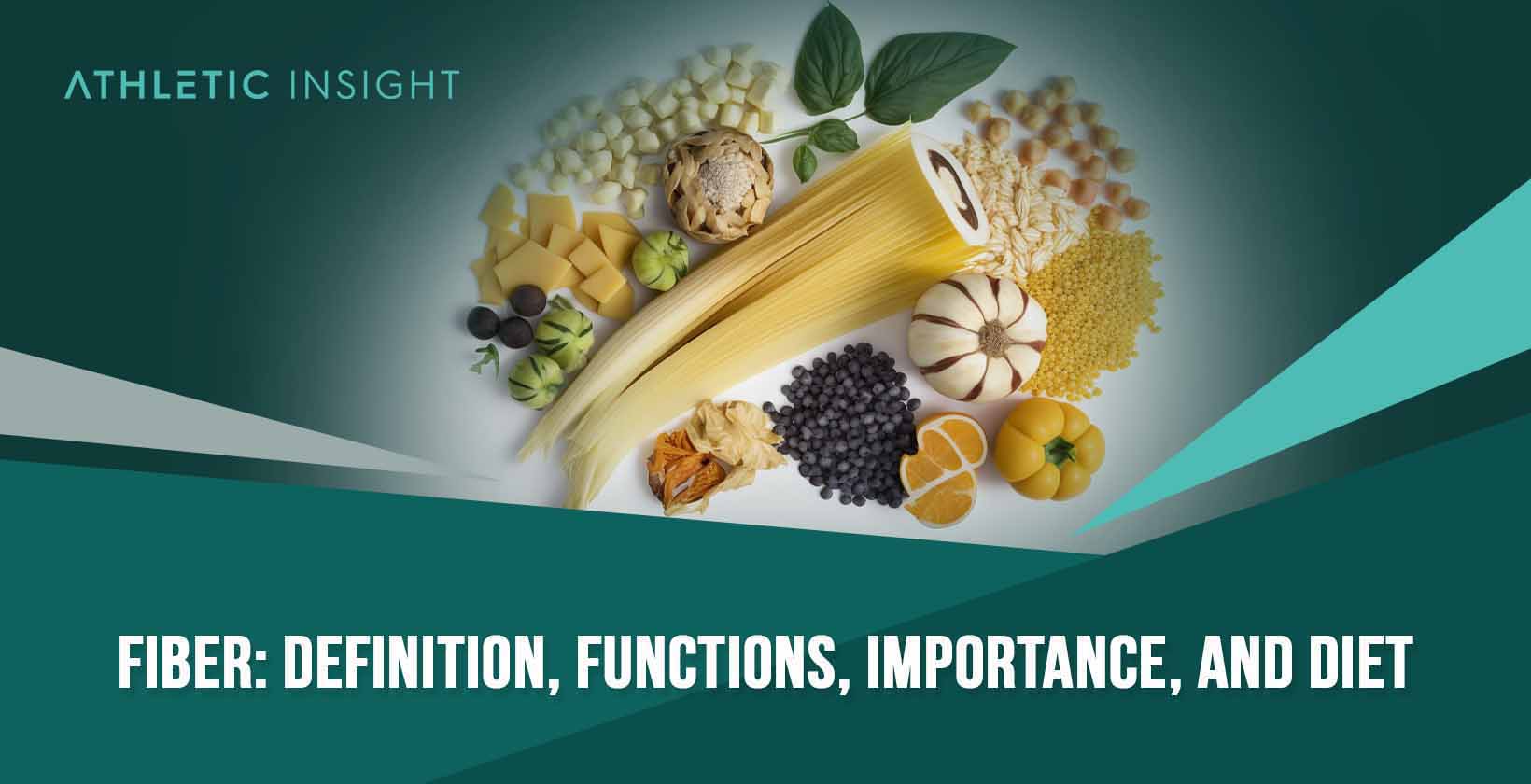 Fiber Definition Functions Importance and
