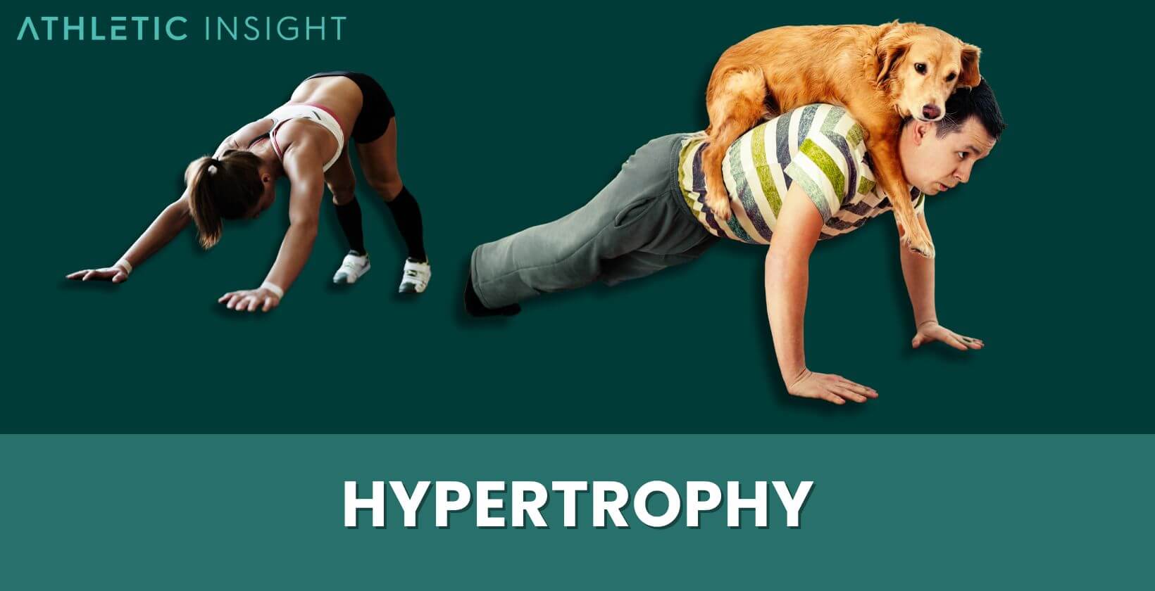Hypertrophy