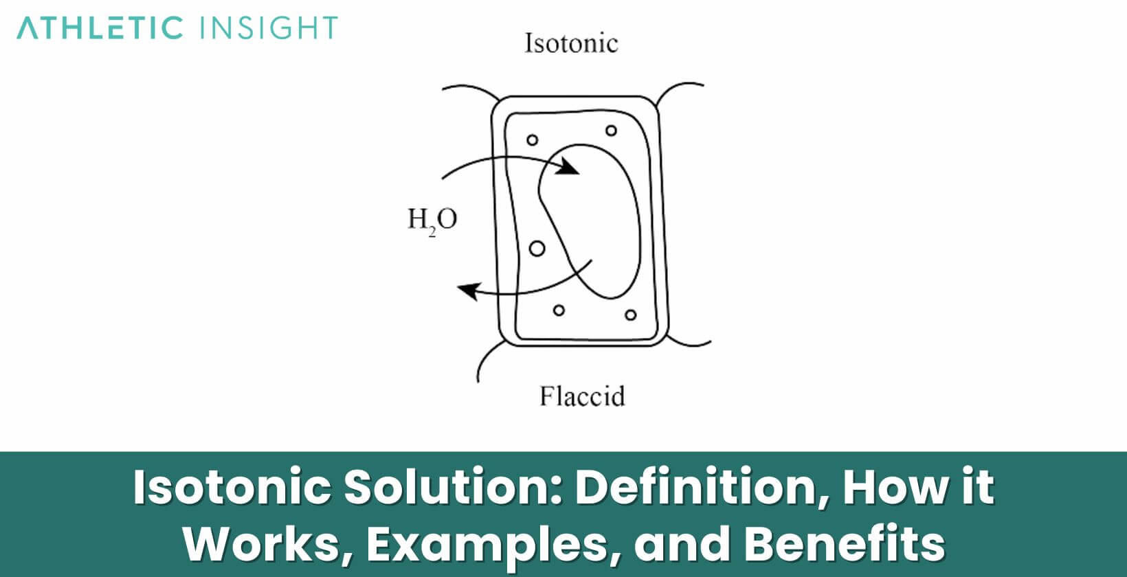 Isotonic Solution: Definition, How it Works, Examples, and Benefits