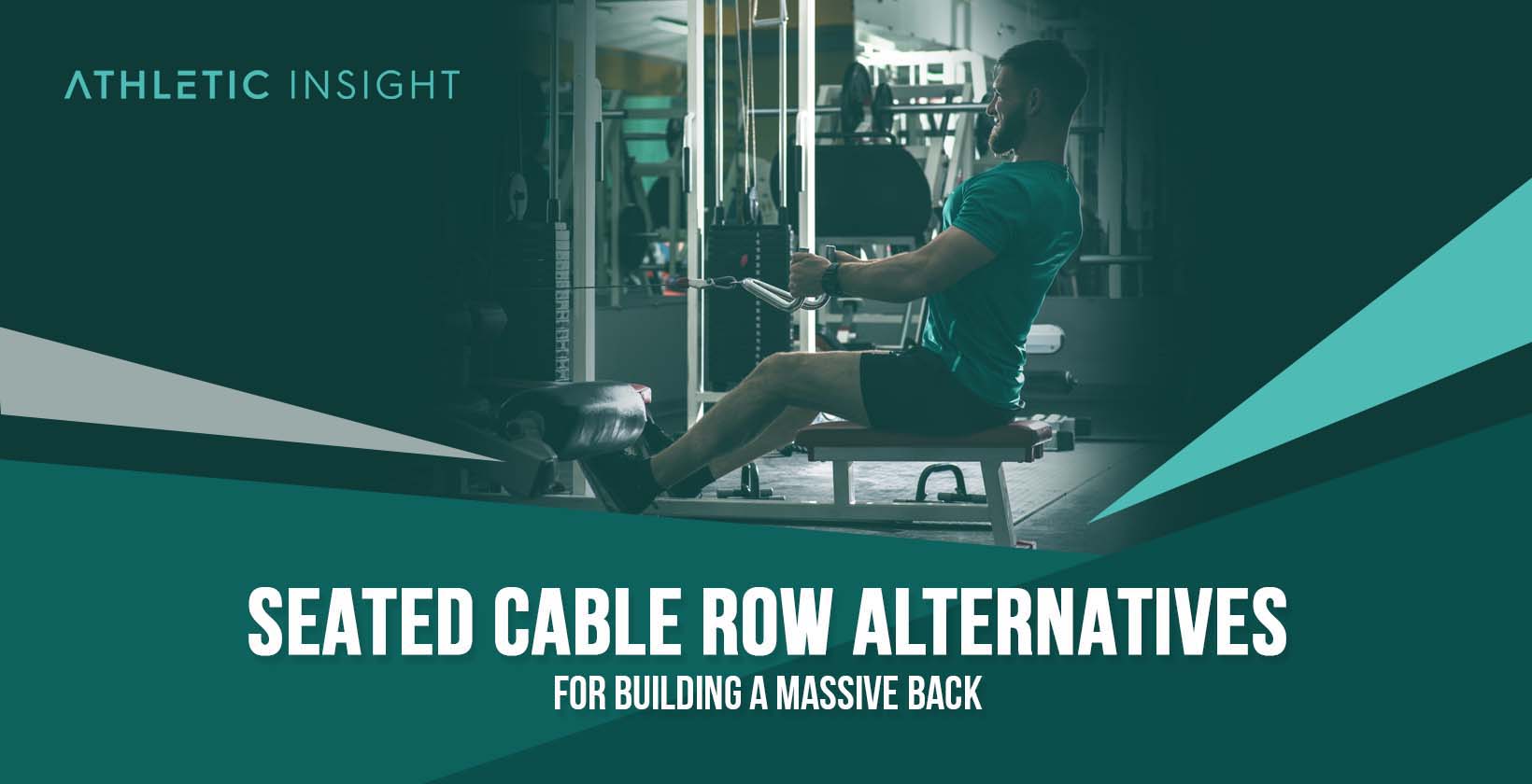 Seated Cable Row Alternatives